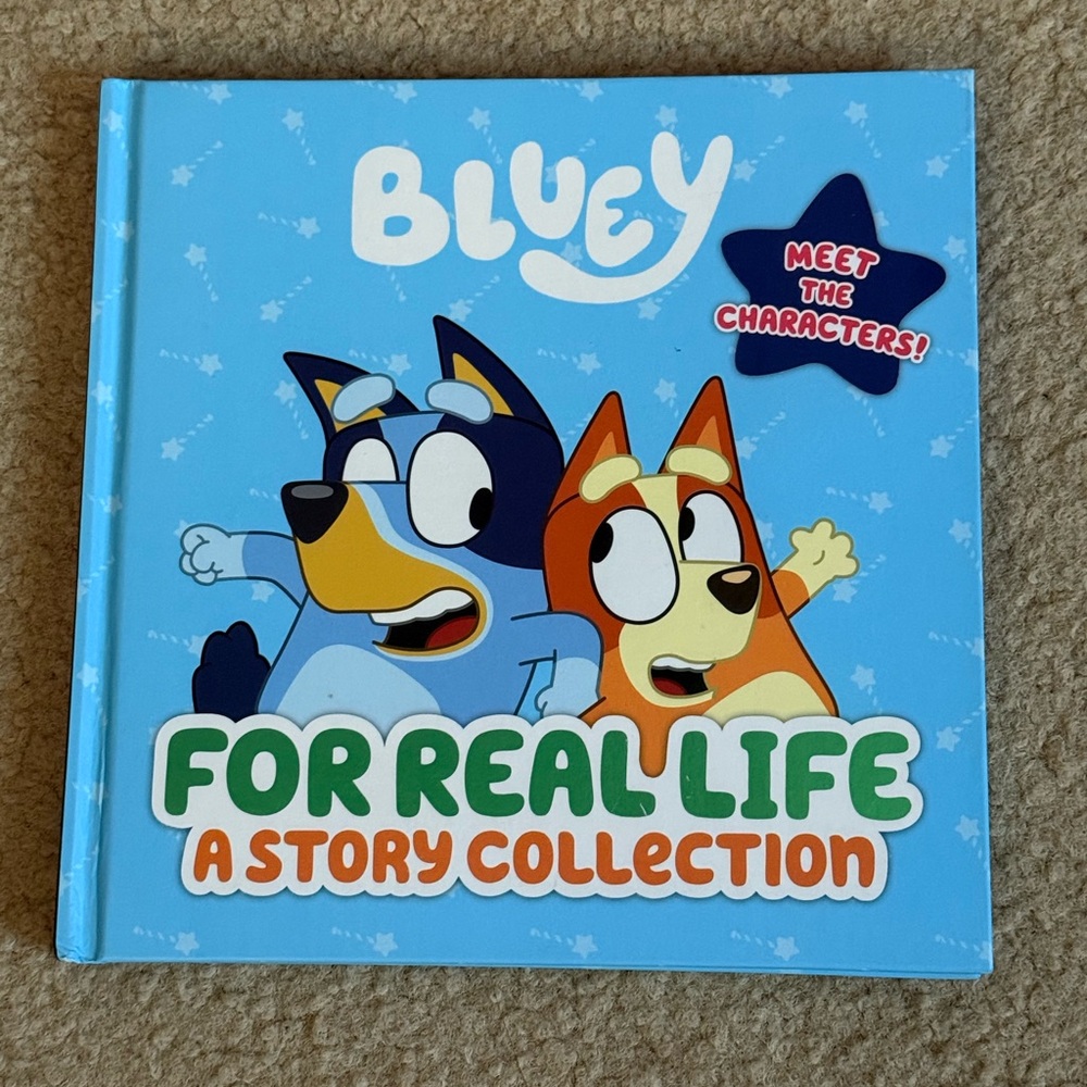 Bluey For Real Life Story Collection Book